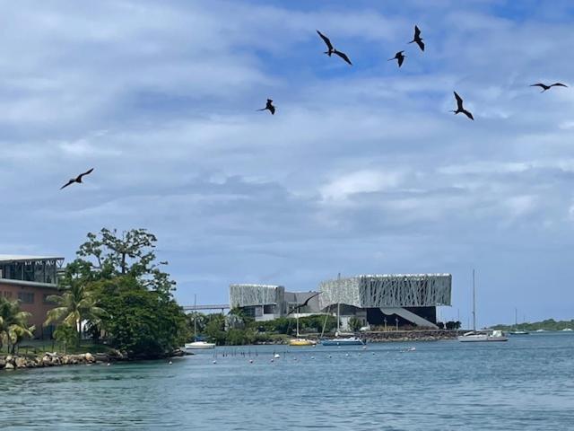 La Canopee Enchantee, Chambres D'Hotes, Piscine, Proche Aeroport, Gare Maritime Les Abymes Eksteriør bilde